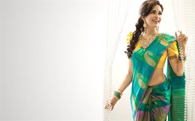 Pradhayini Sarvothaman, vestido tradicional de la India, sari, sesi&#243;n de fotos, la actriz India, Bollywood, Indio Joyer&#237;a