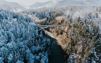 inverno, foresta, ponte, fiume, paesaggio invernale, mattina
