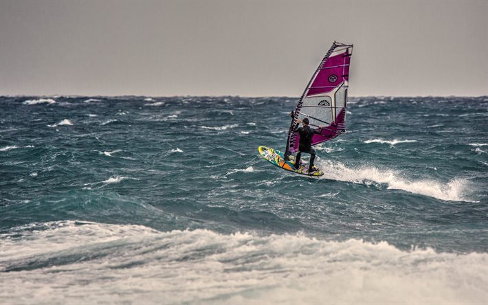 extrem sport, vindsurfing, surfa, v&#229;g, havet, vind