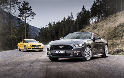 Ford Mustang, 2016, Mustang Convertible, EU-spec, gray Ford, yellow Mustang