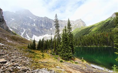 lago de montanha, floresta, nevoeiro, montanhas, lago glacial, Canada