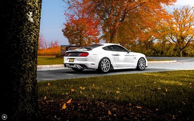 Ford, Mustang GT, sports car, autumn, White Mustang