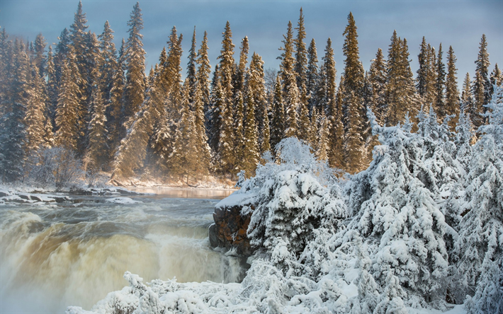 Pisew Faller, vinter, skogen, vattenfall, river, vinterlandskap, Kanada, Pisew Falls Provincial Park, Manitoba