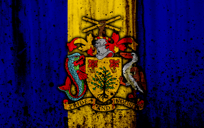 Silah Barbados bayrağı, 4k, grunge, Barbados bayrağı, Kuzey Amerika, Barbados, ulusal semboller, Barbados arması, kat Barbados, Barbados ulusal amblemi