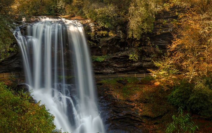 滝, ロック, 秋, 森林, ノースカロライナ, 米国