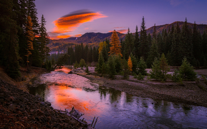 mountain river, sunset, forest, mountain landscape, USA