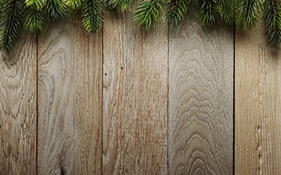 wooden texture, light boards, Christmas tree, tree branches, wood