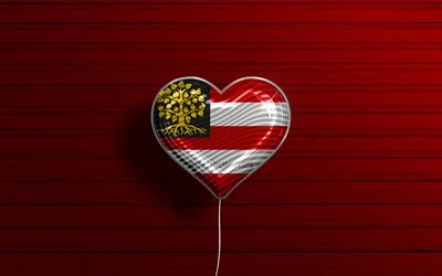I Love s-Hertogenbosch, 4k, palloncini realistici, sfondo in legno rosso, Giorno di s-Hertogenbosch, citt&#224; olandesi, bandiera di s-Hertogenbosch, Paesi Bassi, palloncino con bandiera, s-Hertogenbosch