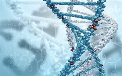 Molecola di DNA, sfondo scientifico blu, sfondo con DNA, acido desossiribonucleico, DNA, molecola, biologia