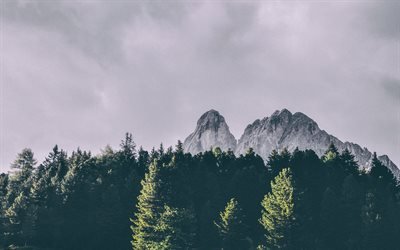 Peitlerkofel, montagna delle Dolomiti, Alpi, paesaggio di montagna, alberi verdi, Alto Adige, Italia