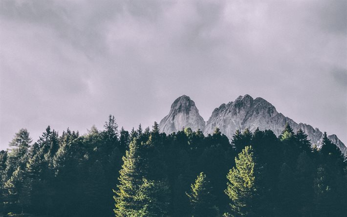 Peitlerkofel, mountain of the Dolomites, Alps, mountain landscape, green trees, South Tyrol, Italy