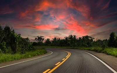 sunset, asphalt road, turn, palm trees, path concepts, road, evening