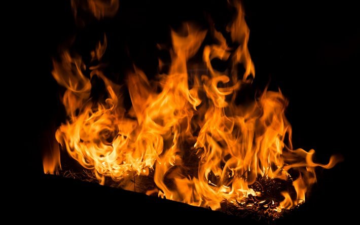 fogo na lareira, chama, fogueira, conceitos de fogo, lareira, chamas