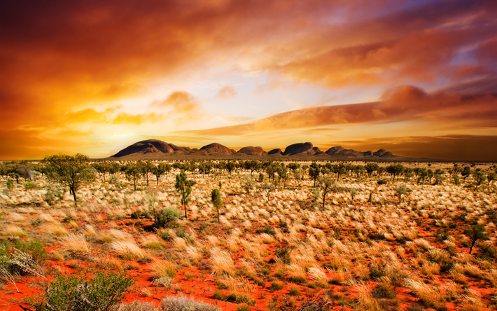 Australia, 4k, desert sunset hills