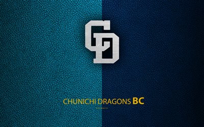 Chunichi Dragons, 4K, Japanese baseball club, logo, leather texture, Nagoya, Aichi, Japan, Nippon Professional Washoowall, baseball