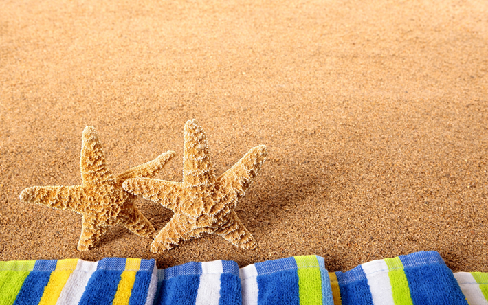 starfish, beach, sand, sea, tourism concepts, summer vacation