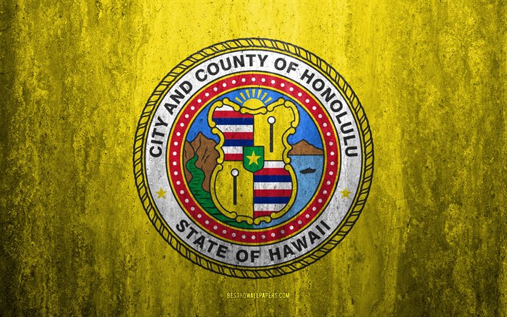Bandera de Honolulu, Hawaii, 4k, piedra de fondo, la ciudad de Am&#233;rica, el grunge bandera, Honolulu, estados UNIDOS, Honolulu bandera de grunge de arte, la piedra de la textura, las banderas de las ciudades de am&#233;rica