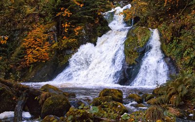 waterfall, autumn, mountain waterfall, rock, lake, yellow leaves, waterfalls in autumn