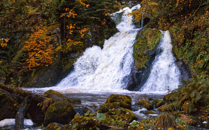 Waterfall, 秋, 山の滝, 岩, 湖, 黄色の葉, 秋の滝
