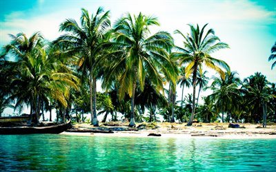 tropical island, palm trees, ocean, summer, summer vacation
