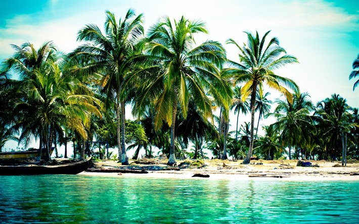 tropik ada, palmiye ağa&#231;ları, okyanus, yaz, yaz tatili