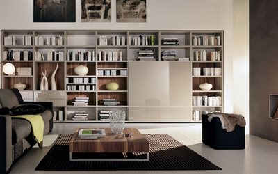 modern interior, library, bookstore modern wardrobe