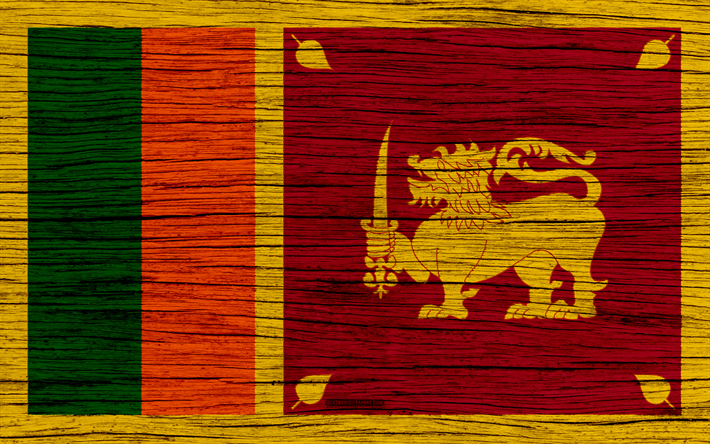 フラグのスリランカ, 4k, アジア, 木肌, 国立記号, スリランカのフラグ, 美術, スリランカ