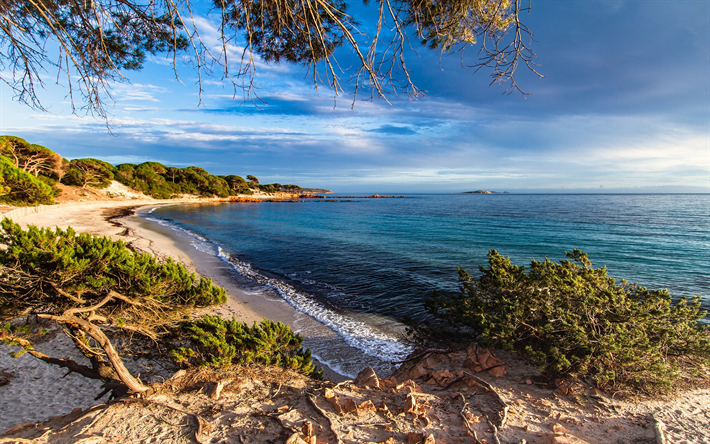 Corsica, Mediterranean Sea, France, beach, morning, sunrise, coast