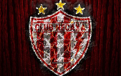 Club Necaxa, scorched logo, Primera Division, red wooden background, Liga MX, Mexican football club, grunge, Necaxa FC, football, soccer, Club Necaxa logo, fire texture, Mexiсo