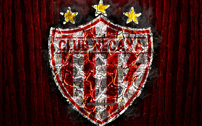 Club Necaxa, quemado logotipo, de la Primera Divisi&#243;n, de madera roja de fondo, de la Liga MX, Mexicana de f&#250;tbol del club, el grunge, el Necaxa FC, f&#250;tbol, Club Necaxa logotipo, fuego textura, M&#233;xico