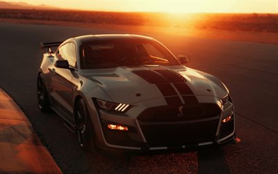Ford Mustang Shelby GT500, 2019, silver sports coupe, evening, sunset, new silver Mustang, American sports cars, Ford