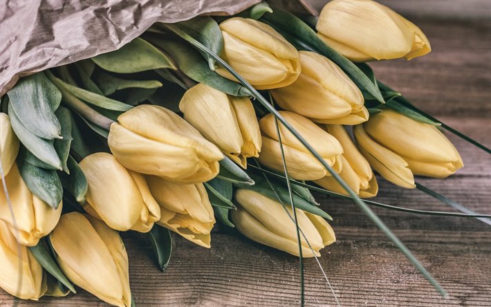 tulipas amarelas, flores amarelas, primavera tulipas, tulipas, buqu&#234; de tulipas