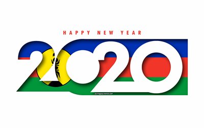Uusi-Kaledonia 2020, Lipun Uusi-Kaledonia, valkoinen tausta, Onnellinen Uusi Vuosi, Uusi-Kaledonia, 3d art, 2020 k&#228;sitteit&#228;, Uusi-Kaledonia lippu, 2020 Uusi Vuosi, 2020 Uusi-Kaledonia lippu