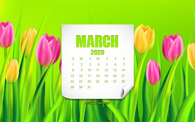 2020 March Calendar, background with tulips, 2020 spring calendar, 2020 concepts, March 2020 Calendar, tulips, spring flowers, March