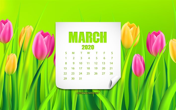 2020 Calendario de Marzo, de fondo con tulipanes, 2020 primavera calendario, 2020 conceptos, de Marzo de 2020 Calendario, tulipanes, flores de la primavera, de Marzo de