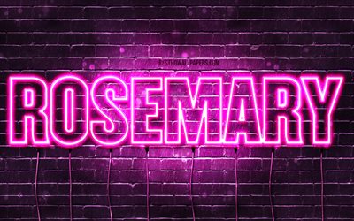 Rosemary, 4k, wallpapers with names, female names, Rosemary name, purple neon lights, horizontal text, picture with Rosemary name