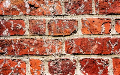 red brickwall, close-up, red bricks, bricks textures, red bricks wall, macro, bricks, wall, red bricks background, red stone background