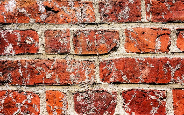 rouge brickwall, close-up, le rouge des briques, des briques de textures, mur de briques rouges, macro, briques, mur de briques rouges arri&#232;re-plan, la pierre rouge d&#39;arri&#232;re-plan