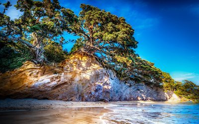 Coast, trees, Sea, summer, New Zealand, Tasman, HDR