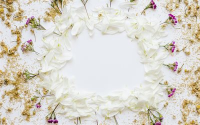 cadre de fleurs, printemps, p&#233;tales blancs, de printemps, de fleurs blanches, de mod&#232;le pour l&#39;image