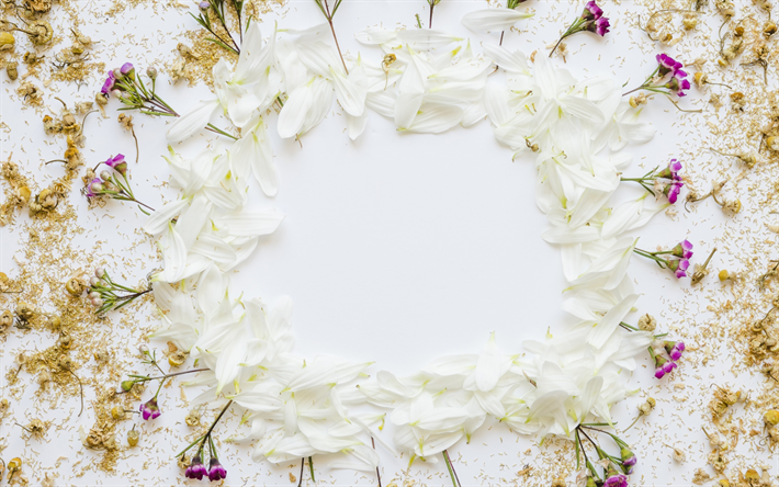 marco de las flores, de la primavera, p&#233;talos blancos, primavera, flores de color blanco, plantilla de marco