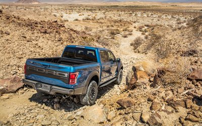 2020, Ford F-150 Raptor, rear view, exterior, american pickup truck, new blue F-150, american cars, Ford