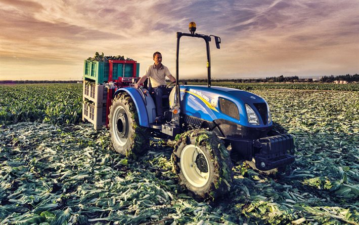 New Holland TD4-90F, col cultivo de 2020, tractores, azul tractor, maquinaria agr&#237;cola New Holland