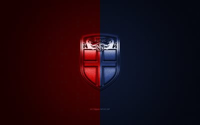 Norway national football team, emblem, UEFA, blue-red logo, blue-red fiber background, Norway football team logo, football, Norway