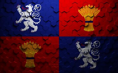 bandeira de guyenne, arte de favo de mel, bandeira hexagons guyenne, guyenne 3d hexagons art, bandeira guyenne