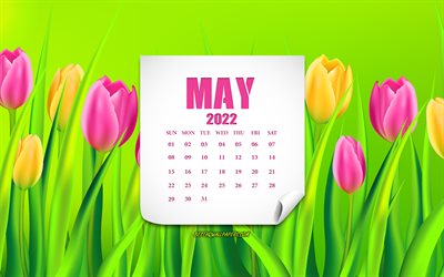 calendrier mai 2022, 4k, tulipes roses, tulipes jaunes, fleurs roses, calendriers 2022, concepts mai 2022