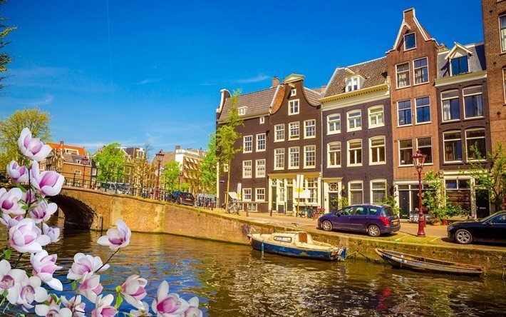Alankomaat, Amsterdam, kev&#228;t, silta, HDR