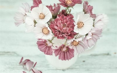 bouquet of flowers, chrysanthemum, aster, spring