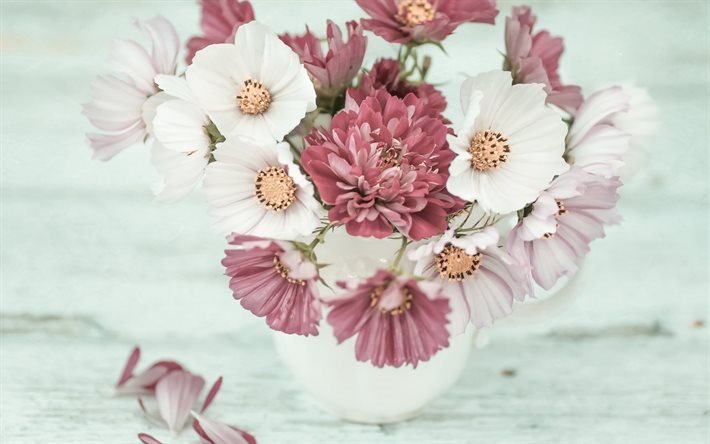 bouquet de fleurs, chrysanth&#232;mes, aster, printemps