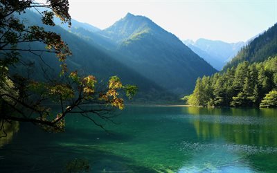 4k, Parc National de Jiuzhaigou, l&#39;&#233;t&#233;, le lac, la for&#234;t, les montagnes, Chine, Asie
